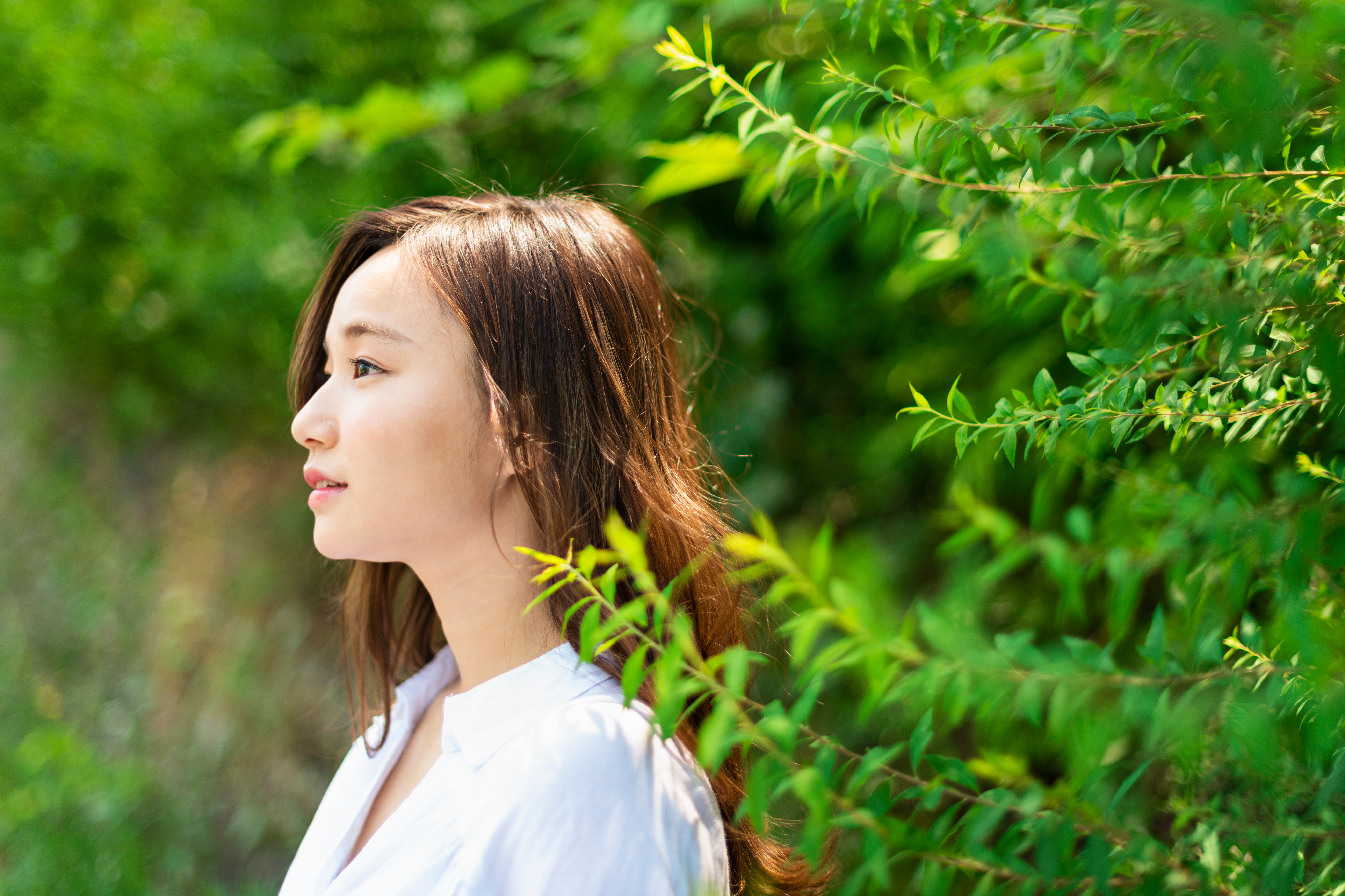 Eラインが整っている女性の例