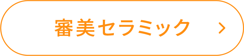 審美セラミック ボタン