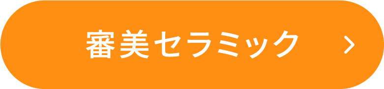 審美セラミック ボタン
